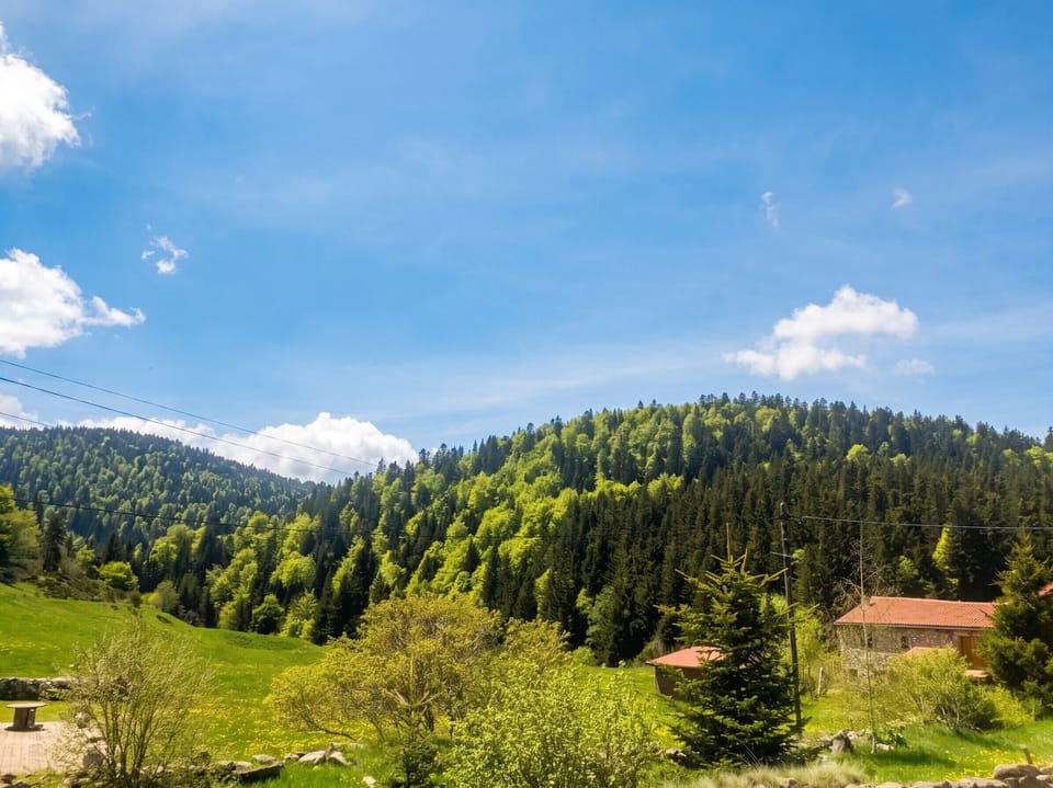 Mountain view