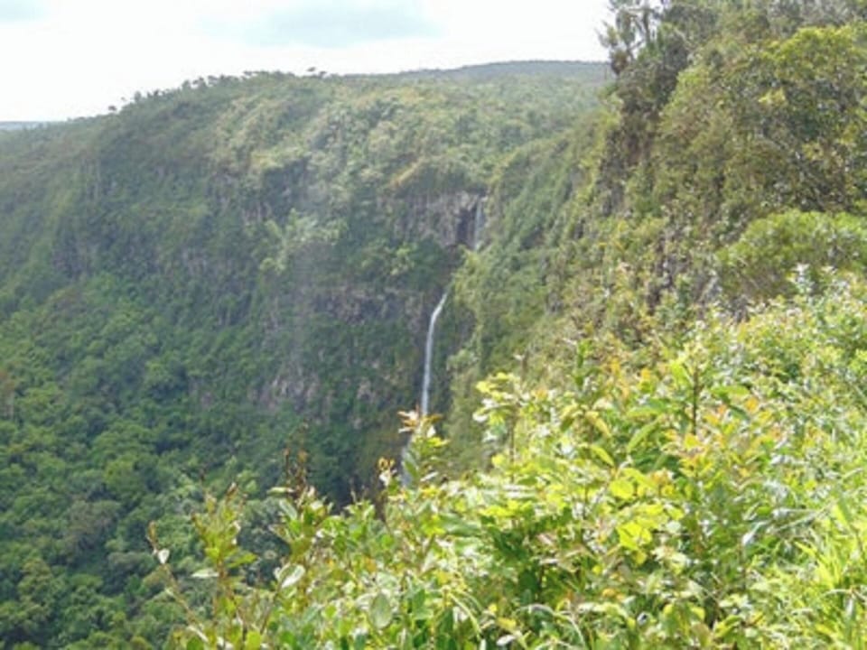 Areal view