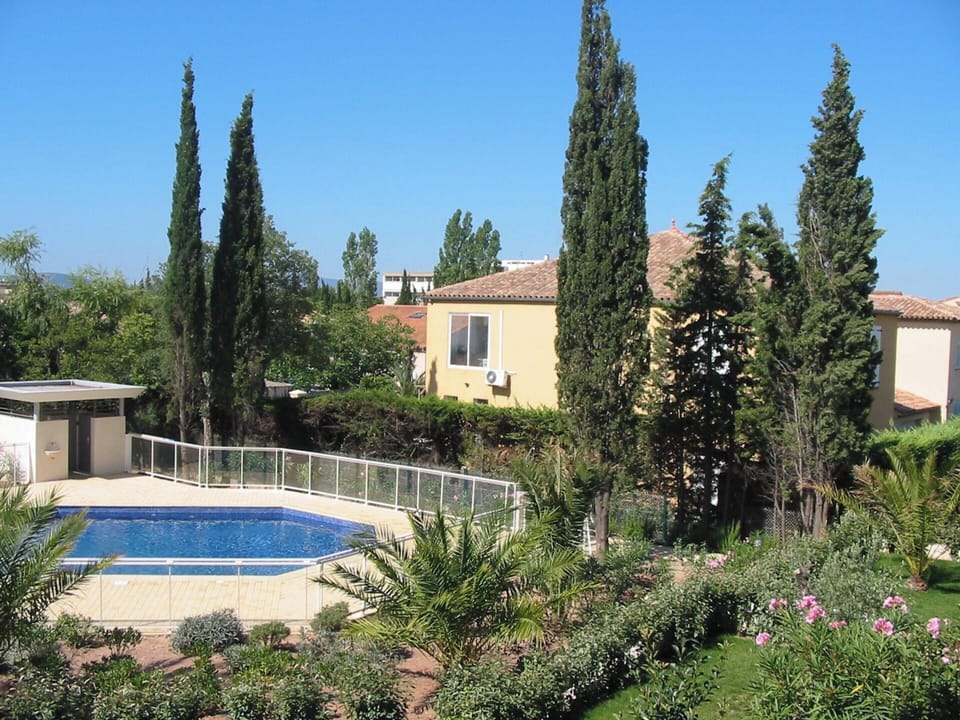 Swimming pool view