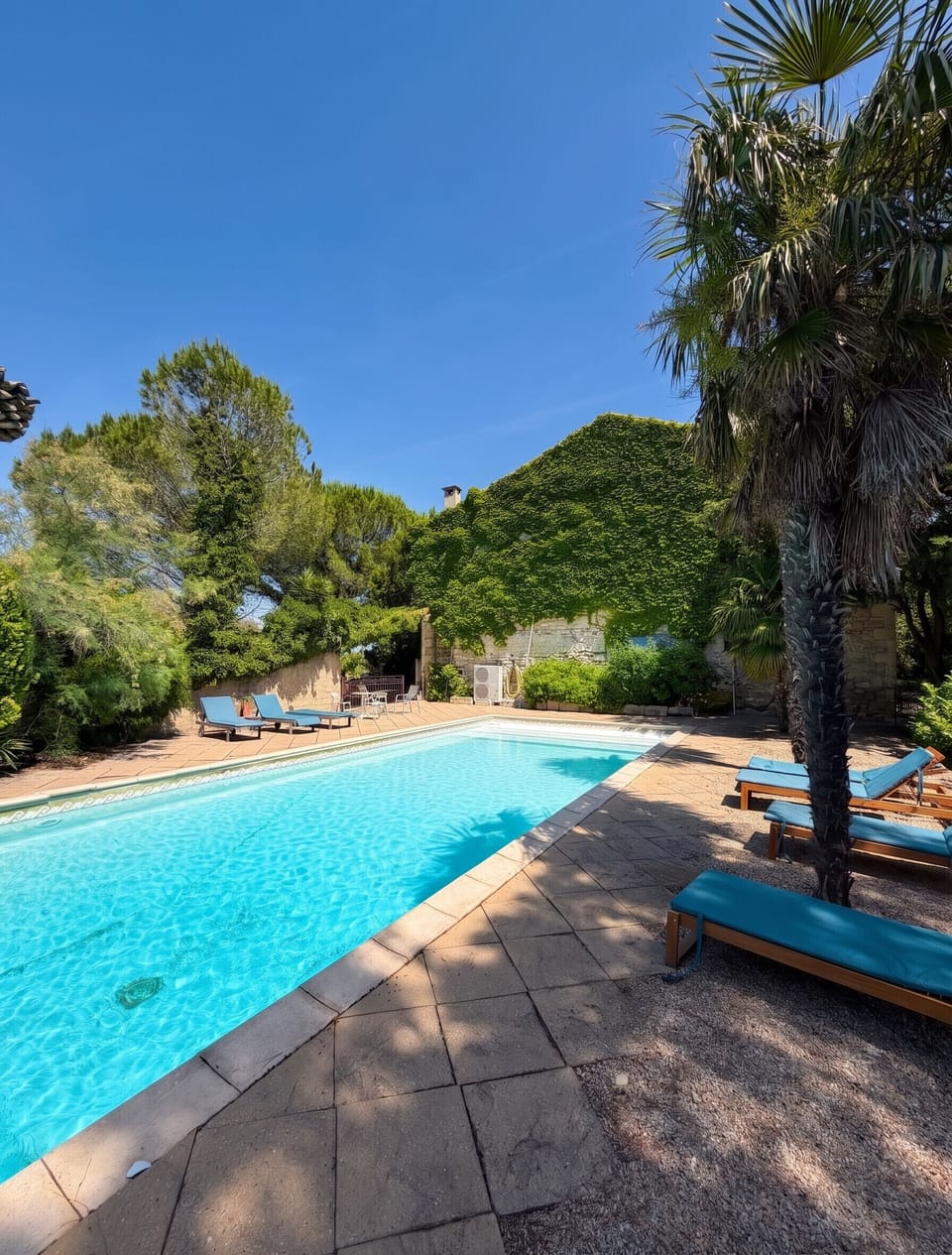 Swimming pool view