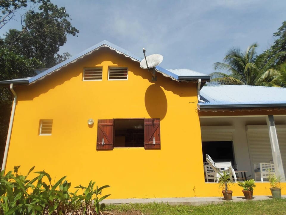 Front view