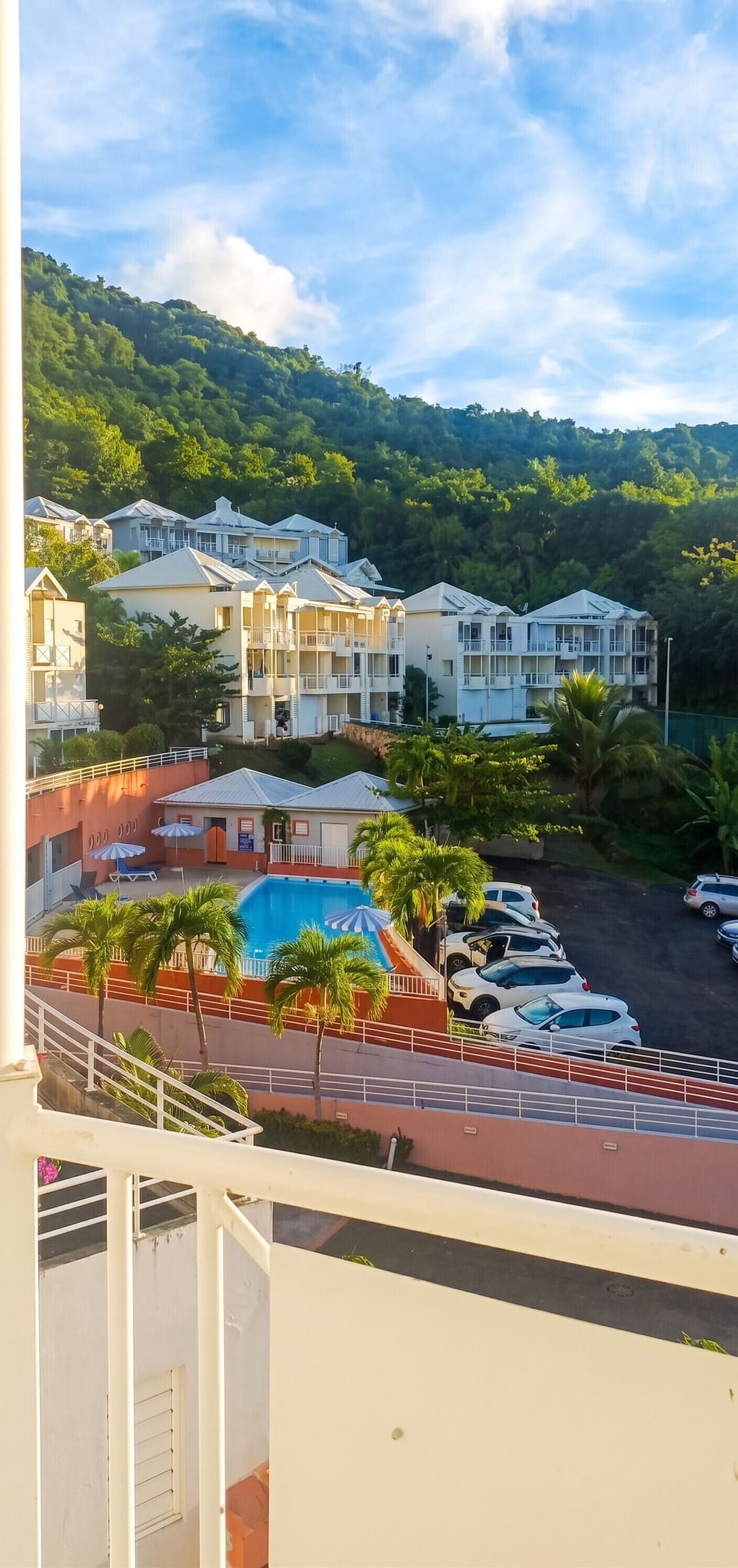 Swimming pool view