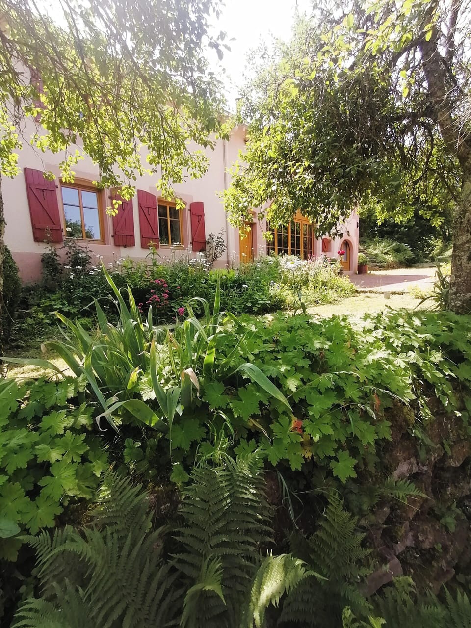 Front view