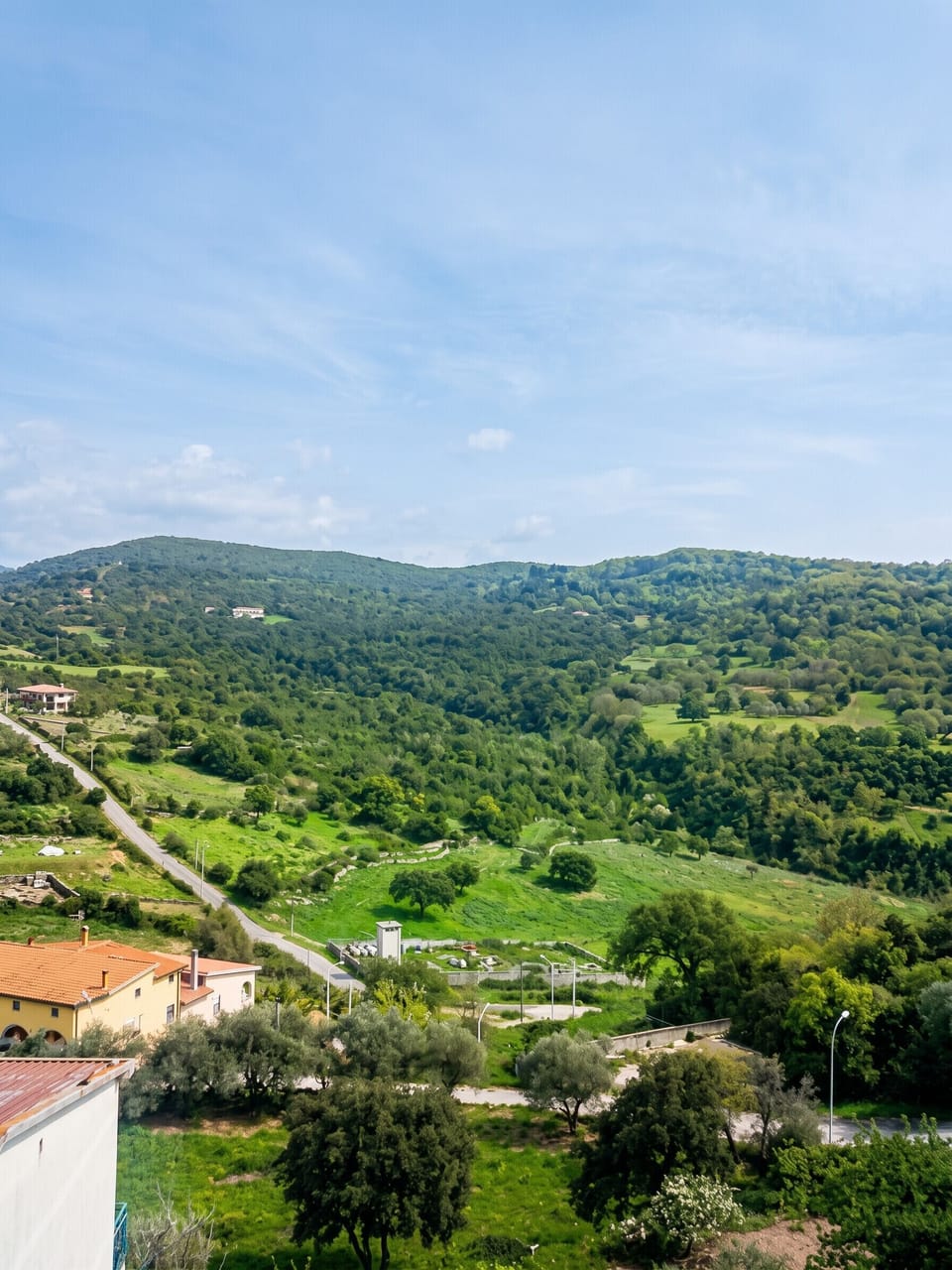 Areal view
