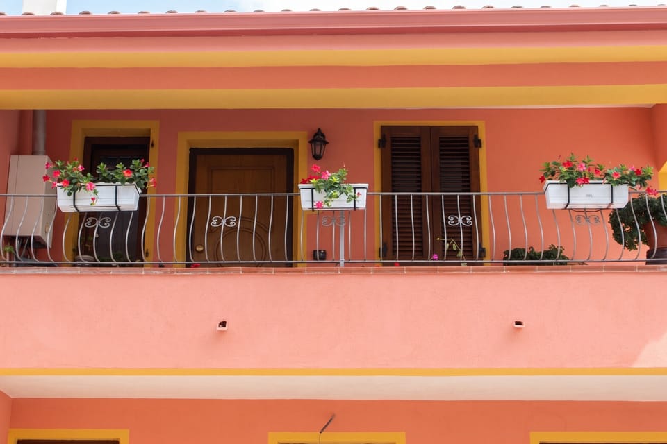Front view