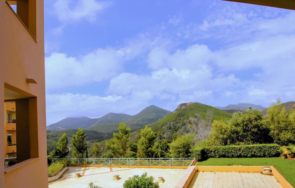 View From Room