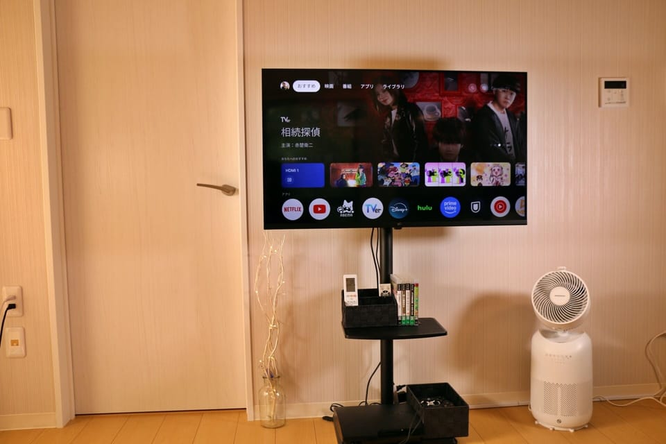 Television