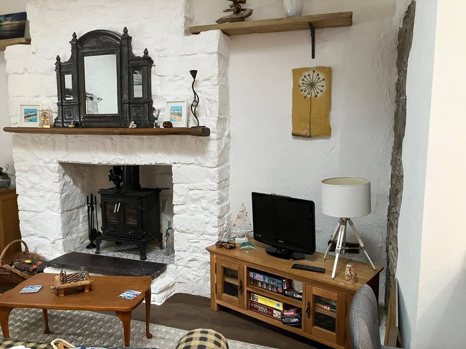 Wood burning stove for cosy winter evenings 