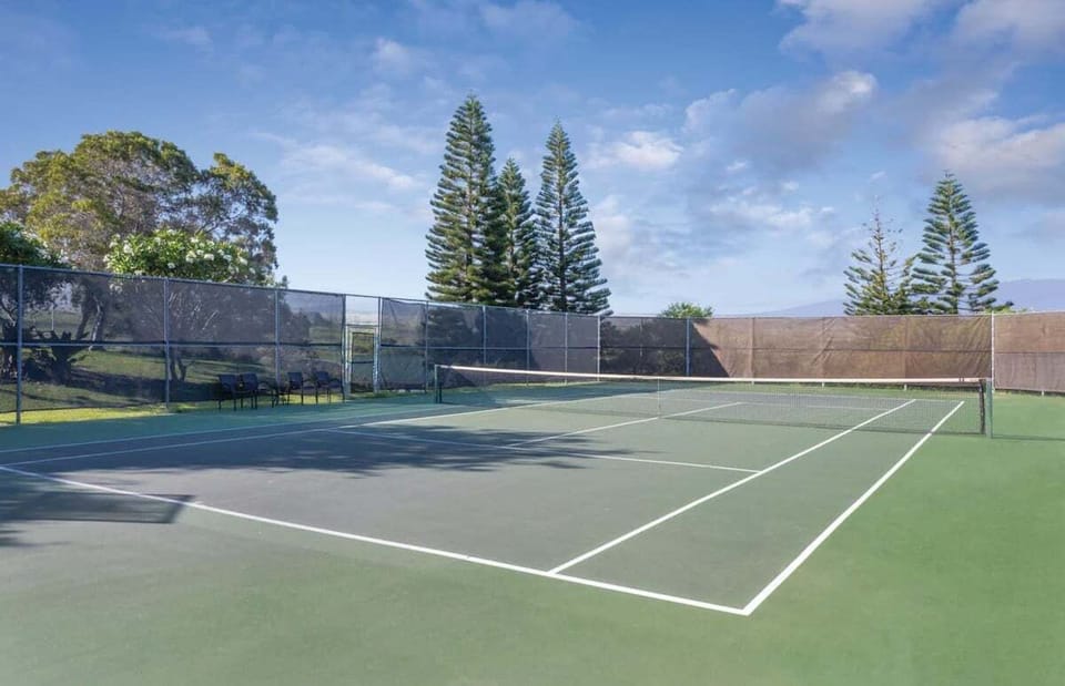 Sport court