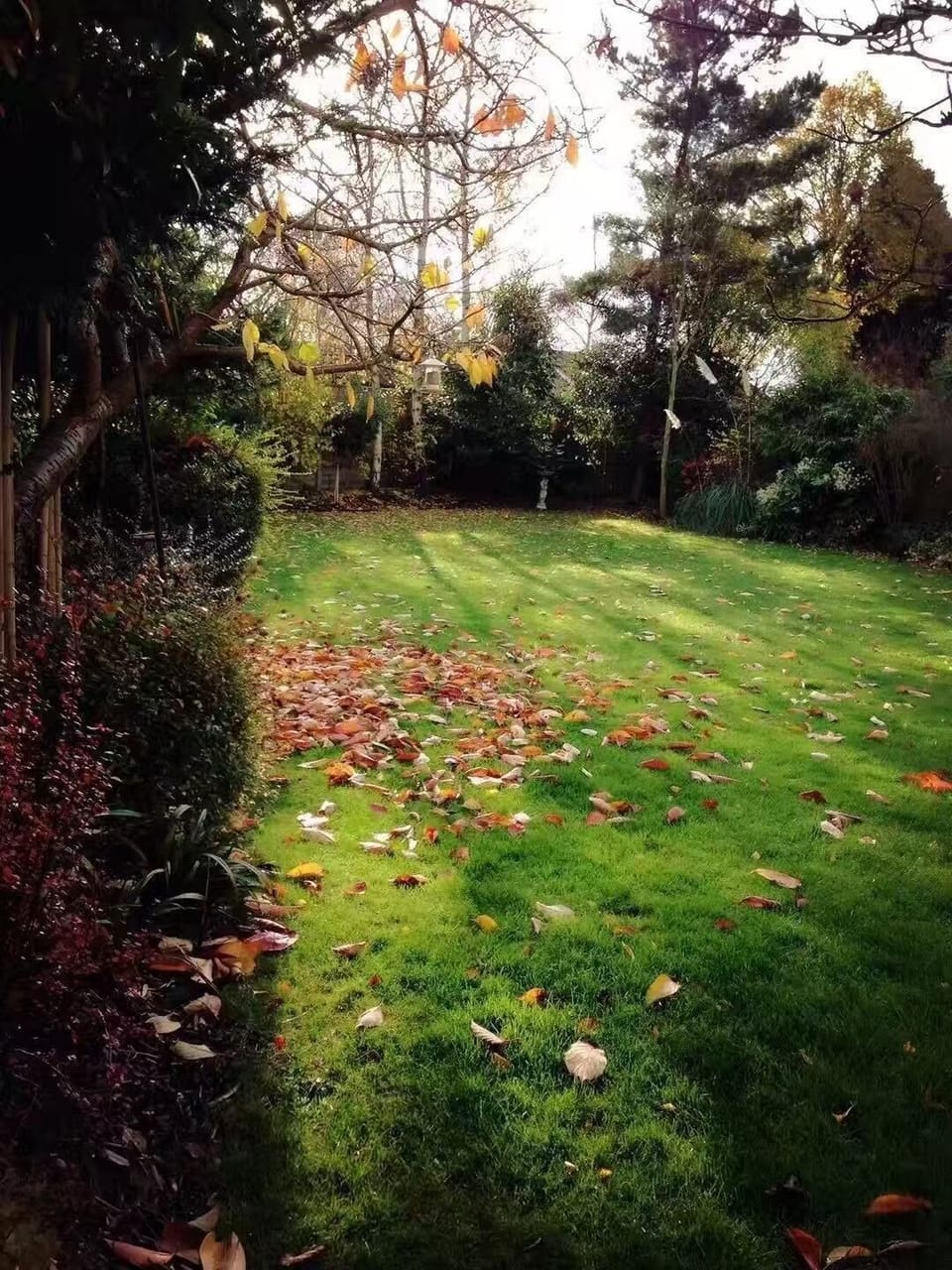 Property grounds