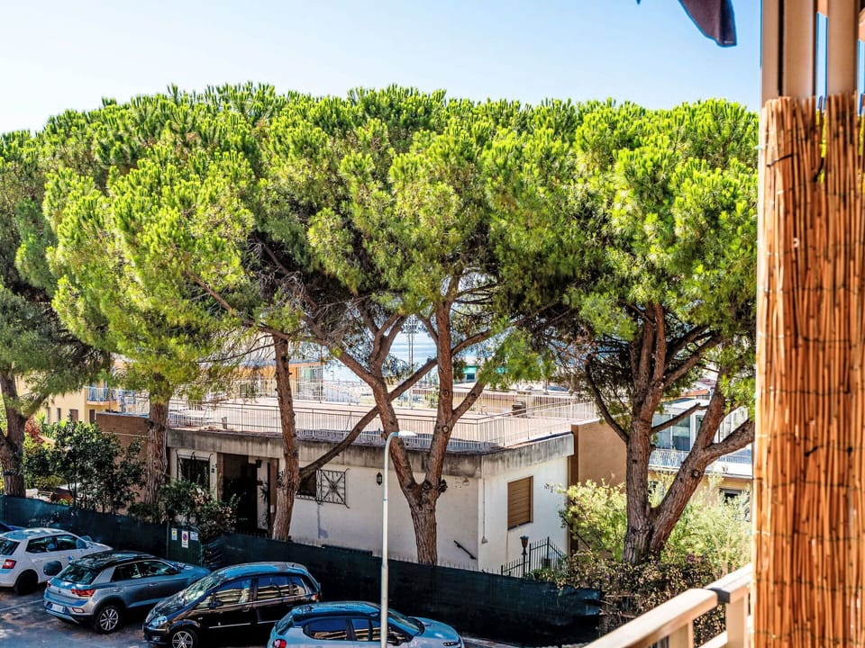 Shade, Woody Plant, Balcony, Yard, Eco Hotel