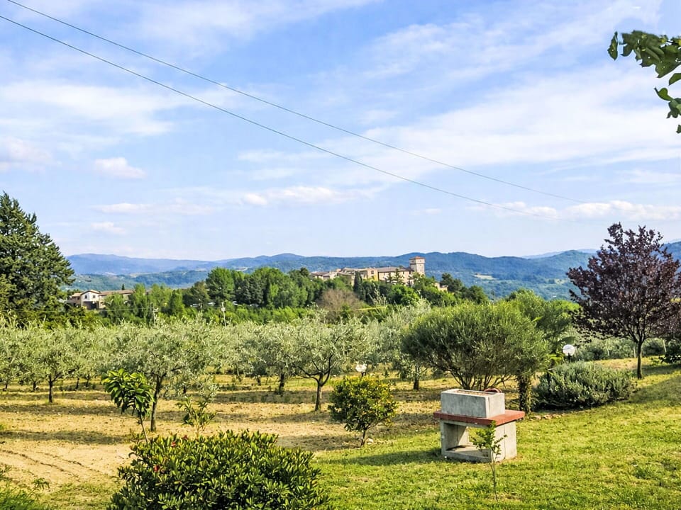 Tree, Vegetation, Grassland, Shrub, Landscape, Rural Area, Land Lot, Plain, Meadow, Hill Station