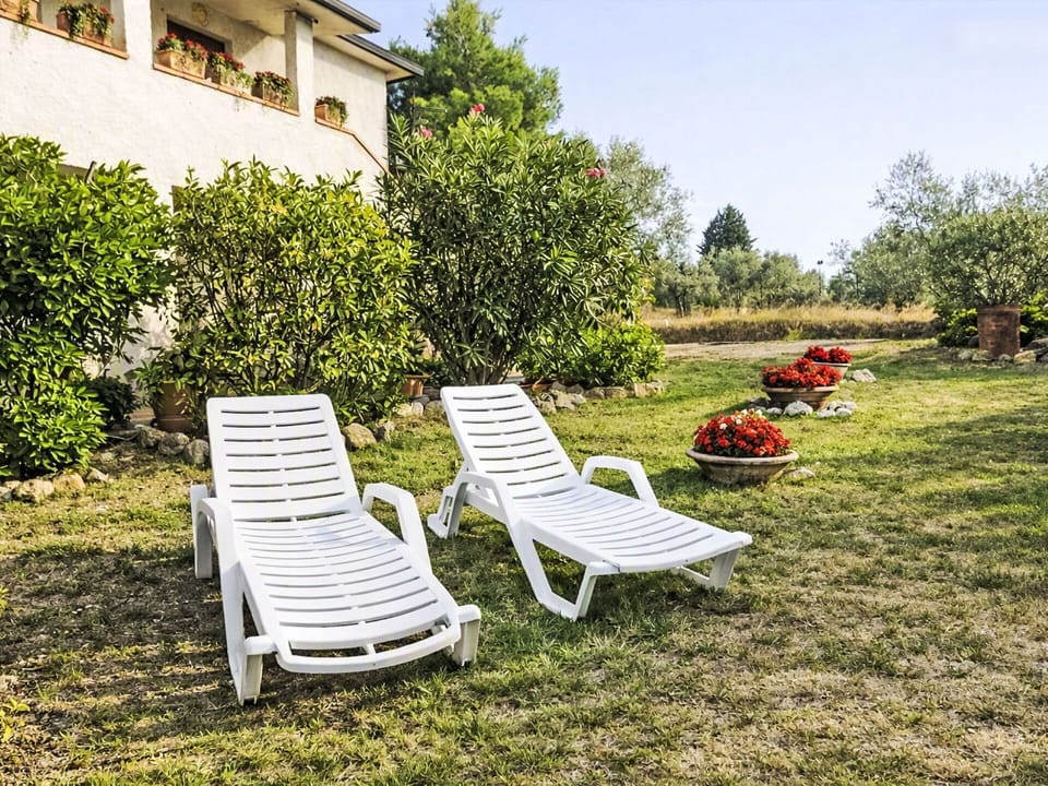 Outdoor Furniture, Furniture, Sunlounger, Garden, Lawn, Chair, Shade, Landscaping, Backyard, Yard