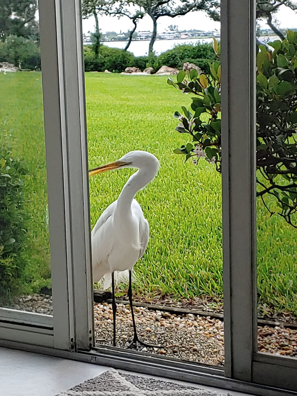 View from property