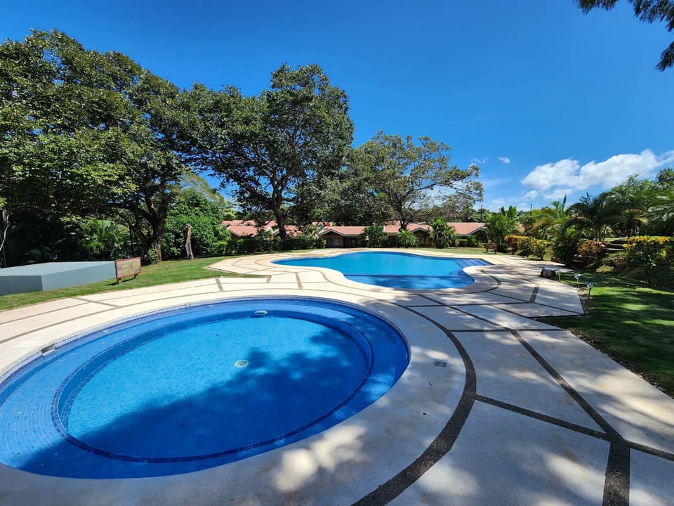 Eco Lagarto main pool