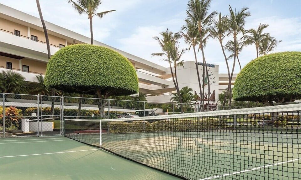 Sport court