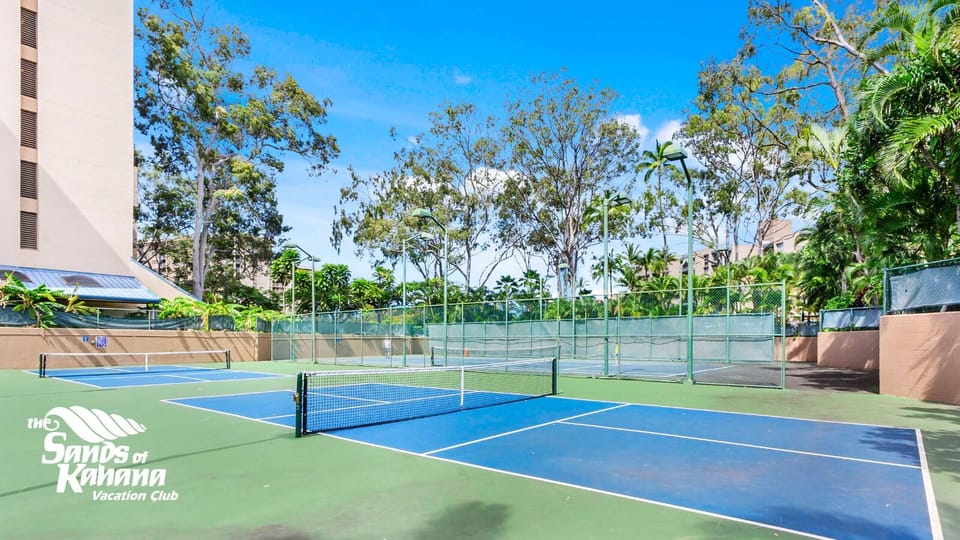Sport court