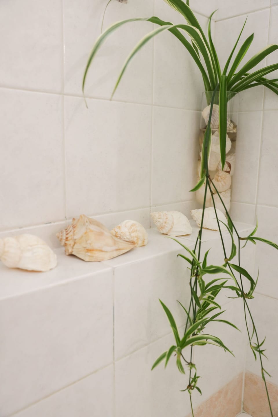 Decor details