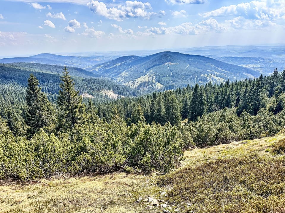 View
