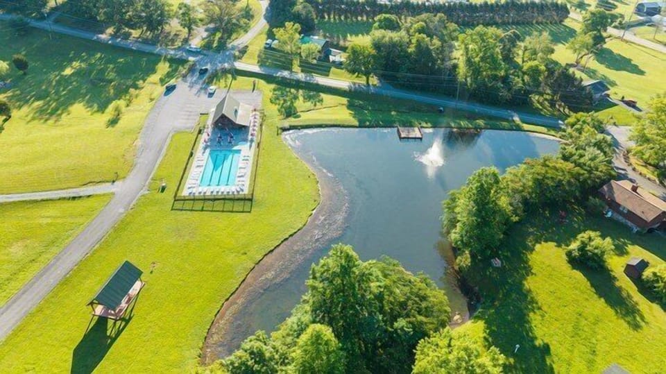 pool