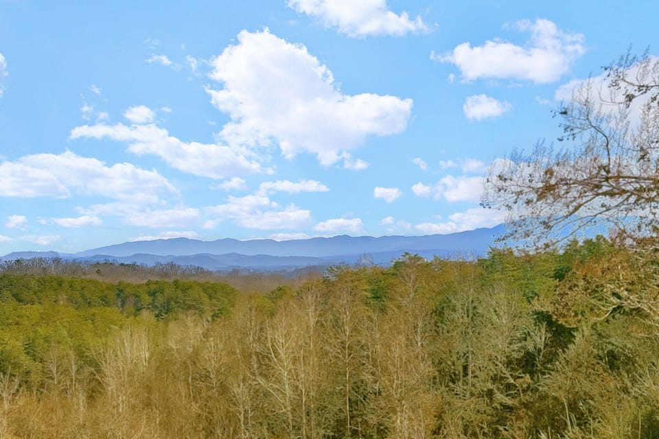 Mountain Views from 3 bedroom pool cabin