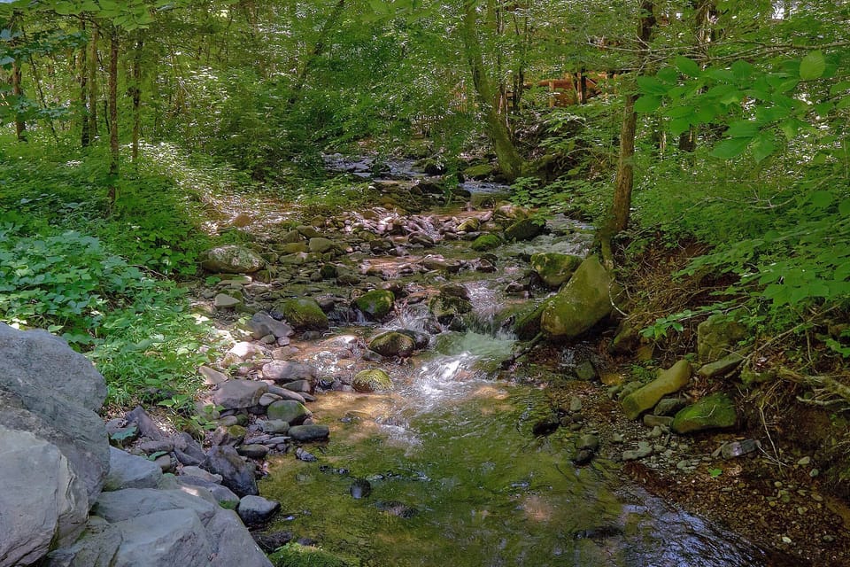 Private 2 Bedroom Cabin in Gatlinburg near Creek