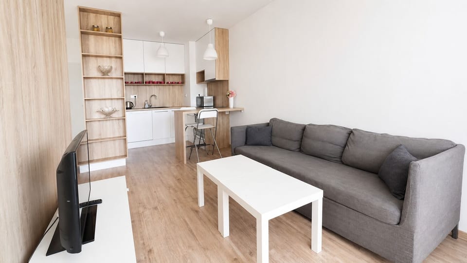 Bright modern studio with cozy sofa, kitchenette, and breakfast bar