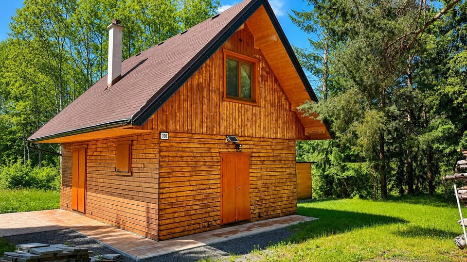 Cozy woodland cabin with private yard and peaceful forest surroundings