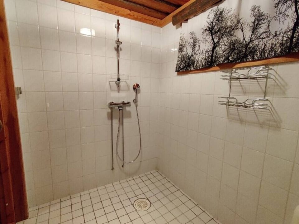 Tiled shower area with a hand shower and wall shelves for toiletries.