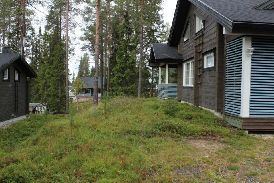 Side view of the house surrounded by tall pine trees.