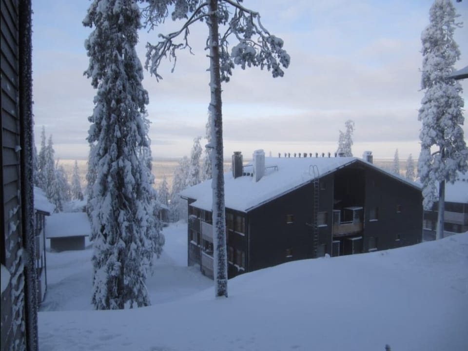 Winter view of the apartment building surrounded by snow-covered pine trees.