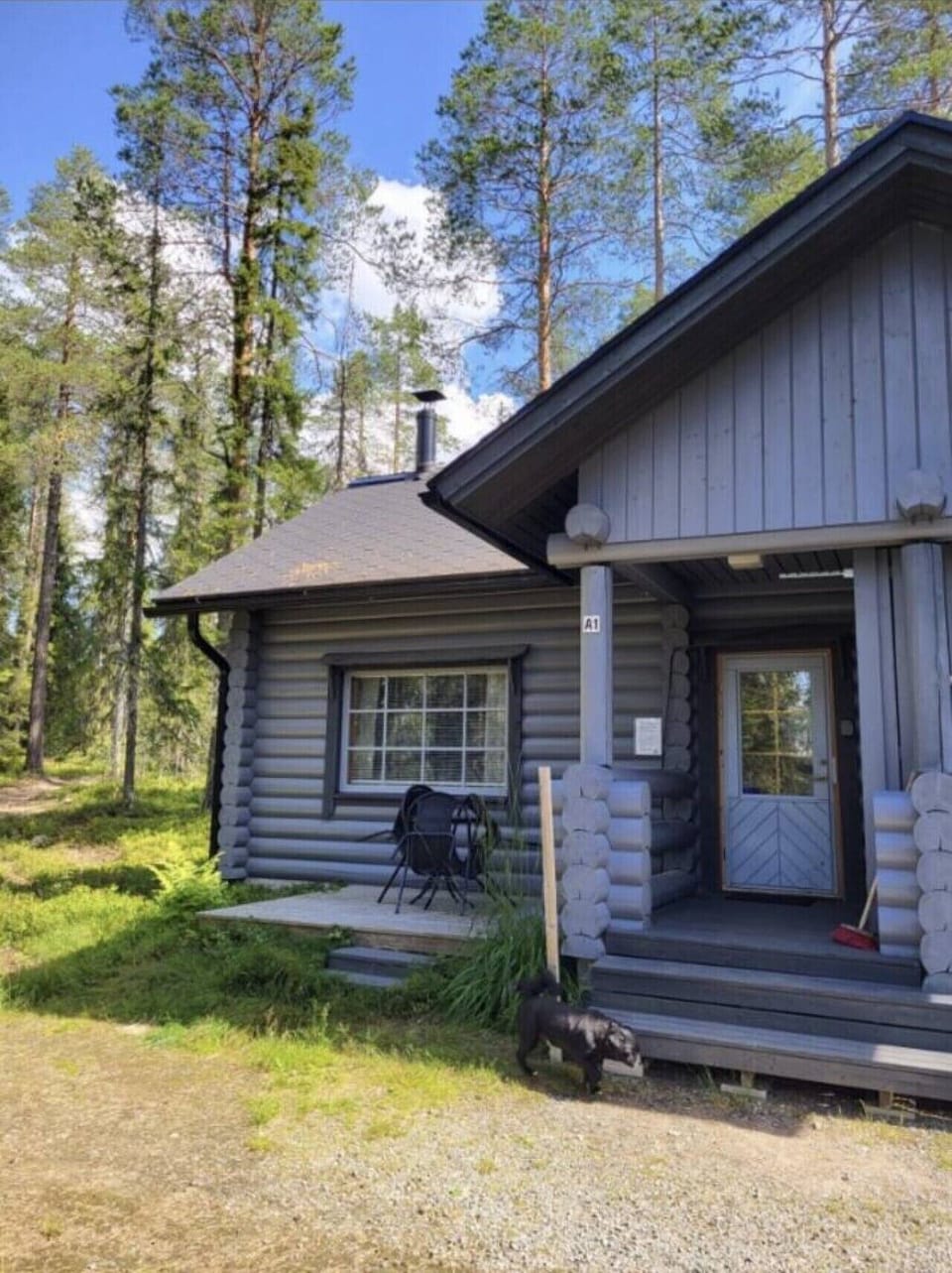 Cabin exterior surrounded by pine forest, with its own private entrance and a seat by the window.