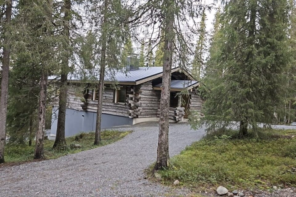 Traditional kelo log cabin set among spruce trees with a gravel path to the entrance.