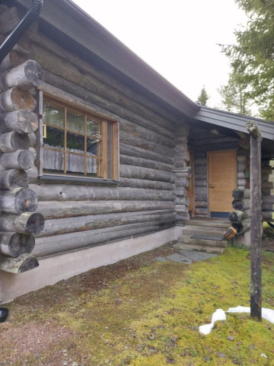 Kelo log exterior wall in summer