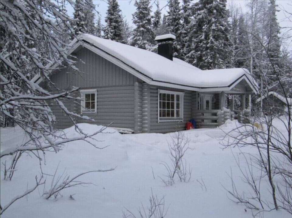 Exterior view of the cabin in winter, tucked among the trees.