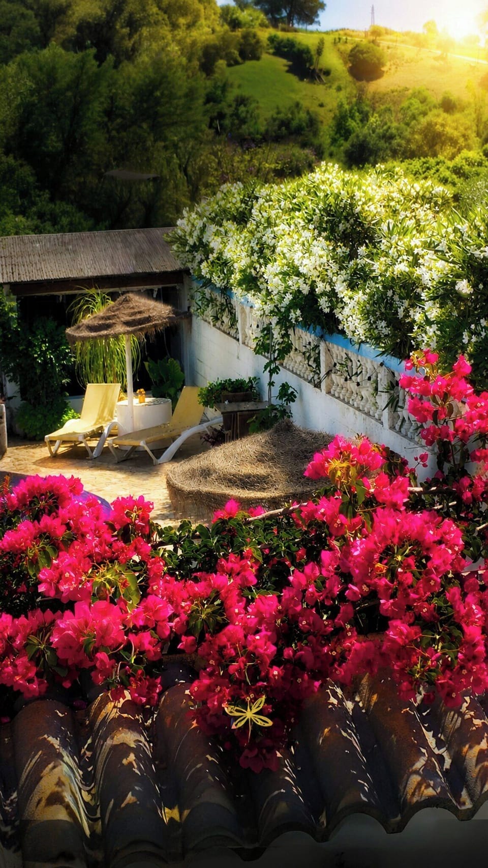 Terrace/patio