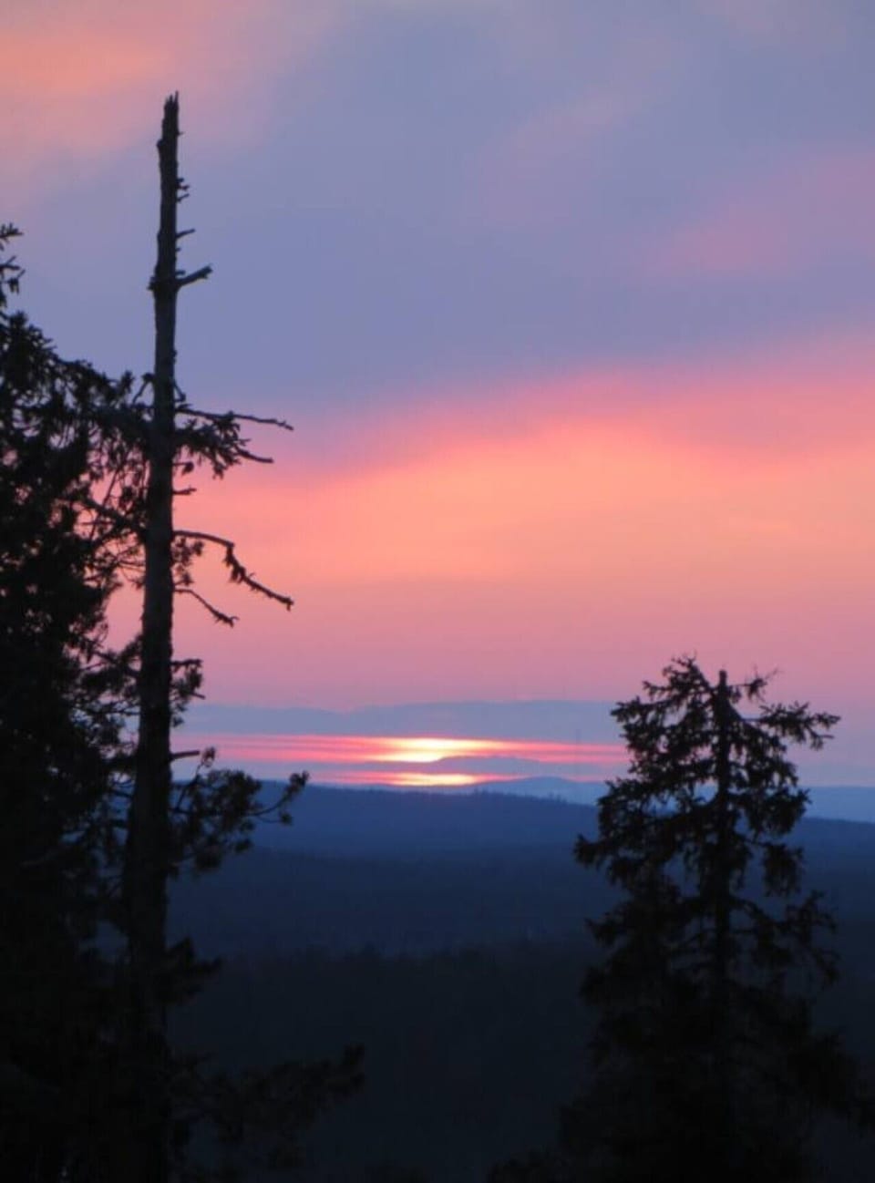 Colourful sunset over the surrounding forest.