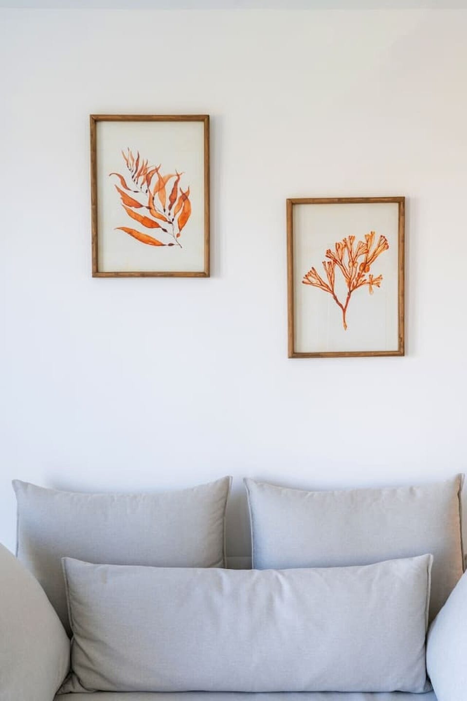 Step into a calm, sun-drenched sanctuary built for modern comfort.