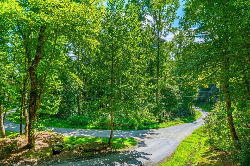 Mountain Roads