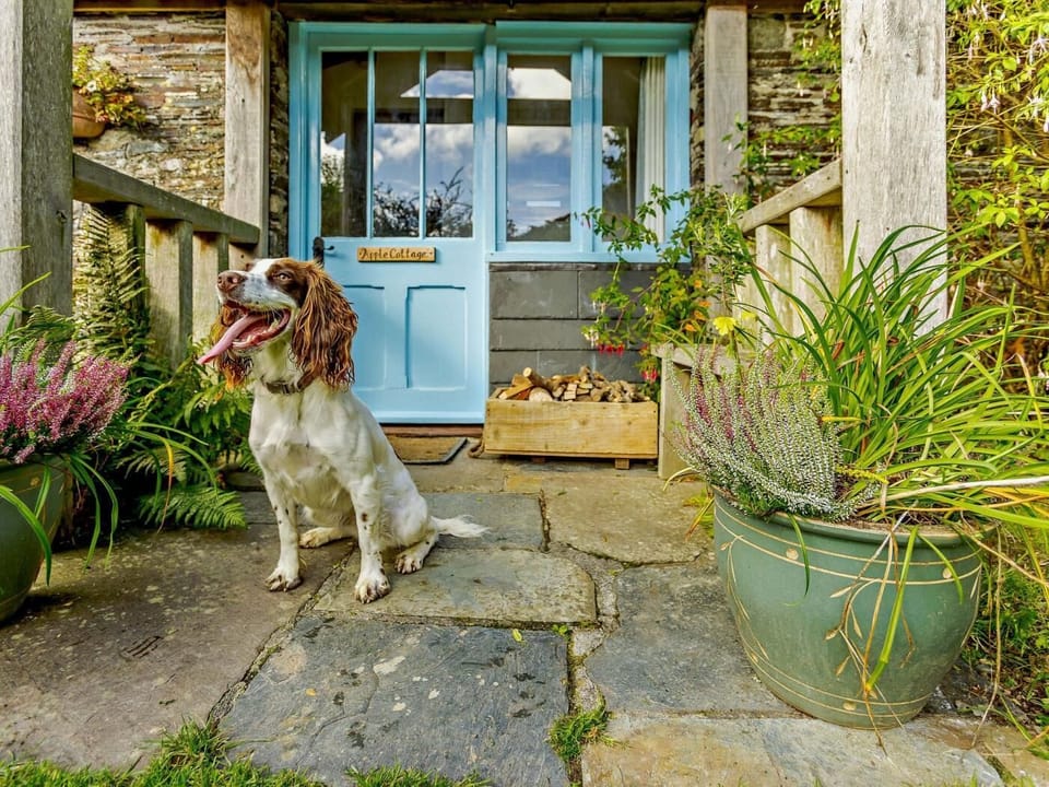 Four legged friends welcome at this friendly retreat