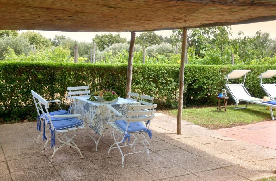 Furniture, Outdoor Furniture, Table, Outdoor Table, Chair, Shade, Garden, Backyard, Lawn, Landscaping