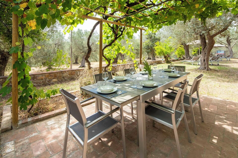 Autumn, Garden, Spring, Summer