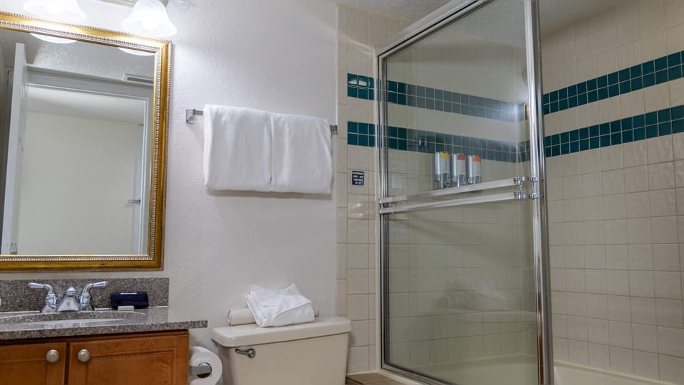 Refresh after adventures in a spotless shower and vanity.