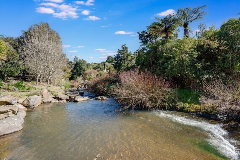 The peaceful creek running through the property