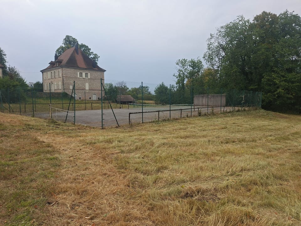 Sport court