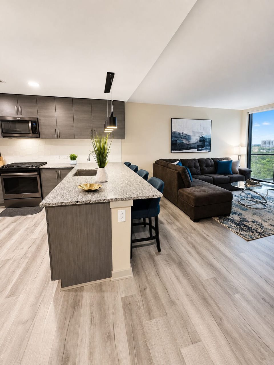 Livingroom/Kitchen Combo