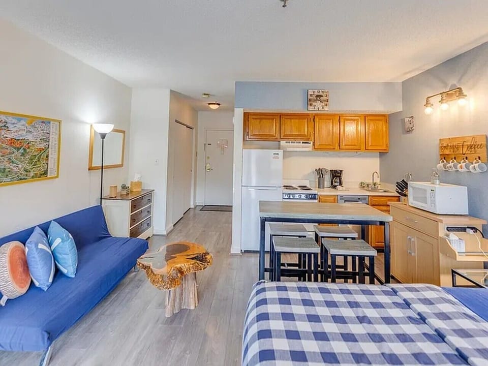 Sofa, kitchen and dining area
