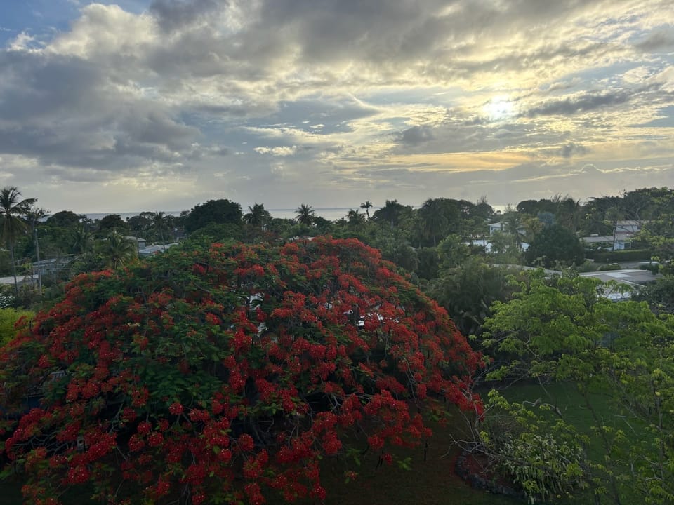 Dusk from the balcony