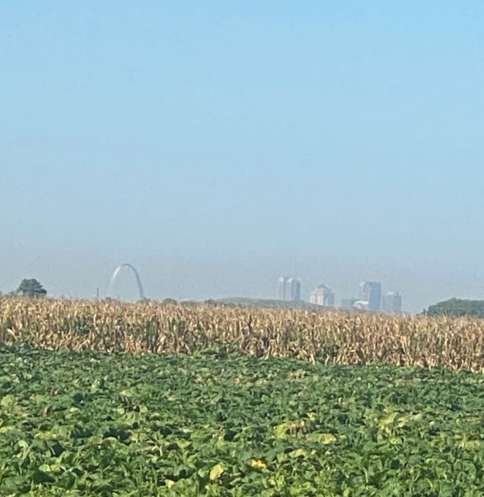 View from front yard