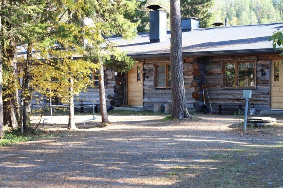 Kelo log exterior of the terraced house with an open gravel yard among the pines.